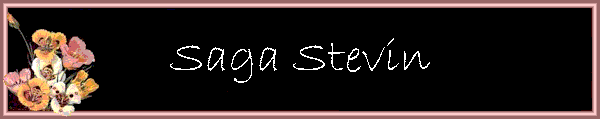 Saga Stevin
